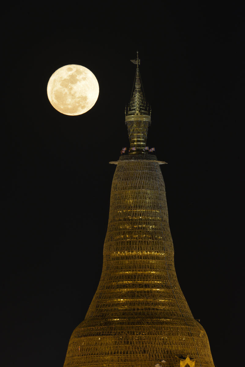 Gold, Crimson and Moonshine: Bamboos covering the Stupa